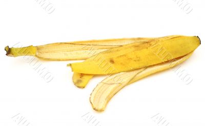 banana skin