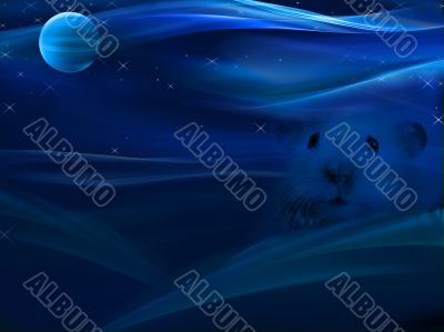Fractal romantic moonlight for 2008 year Fractal romantic moonlight for 2008 year