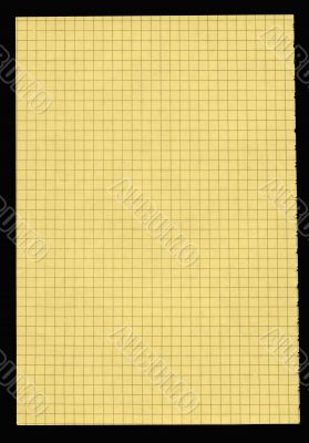 XXL size piece of yellow squared paper
