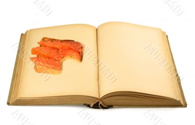 open blank book with sandwich