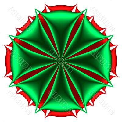 Christmas flower Christmas flower