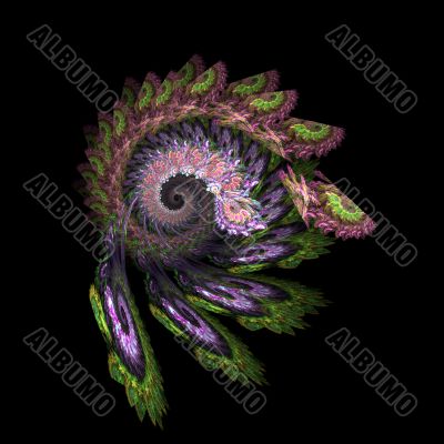Feathered spiral Feathered spiral