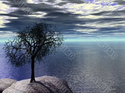 3d sentinel pine on shore cliff