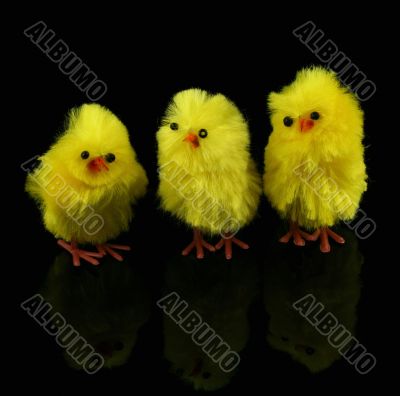 toy Easter chickens on black