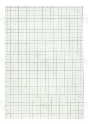 XXL size squared paper page