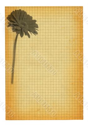 XXL size stained squared paper page with flower motif