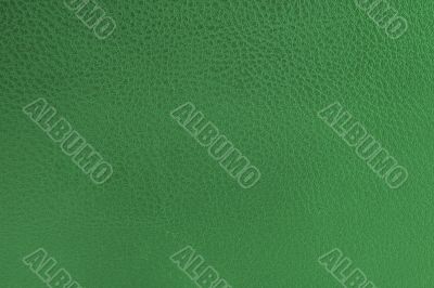 close-up of green leather texture