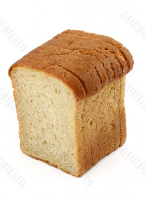 close-up of toast bread on white