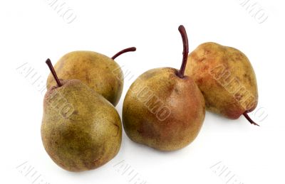 ripe pears on white
