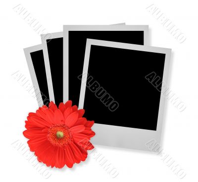 stack of photo frames with flower