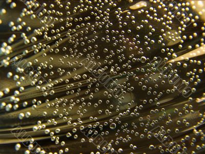 Bubbles