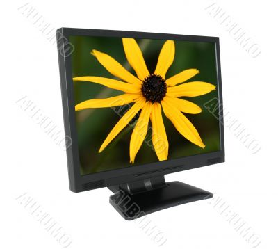 LCD screen with gorgeous flower #2