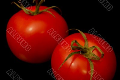 Tomatoes