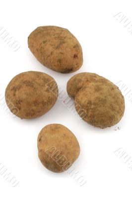 four potatos on white background