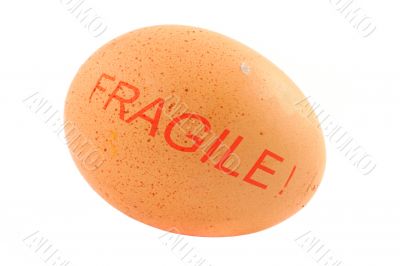 fragile free-range egg