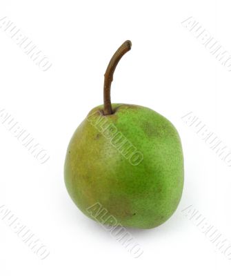 single pear on white