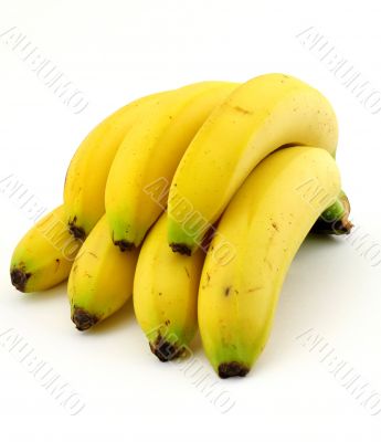 bunch of ripe bananas