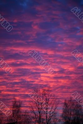 Decline during a magnetic storm