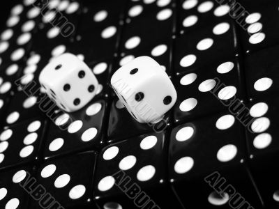 Two White Dice