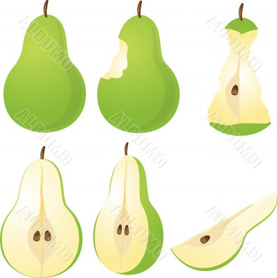 Pear Illustration