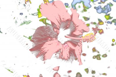 Flower abstract