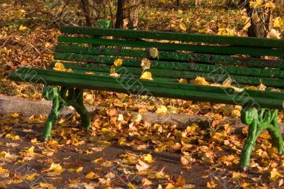 Autumn bench