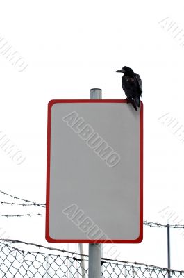 Crow and Sign