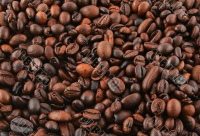 coffee background