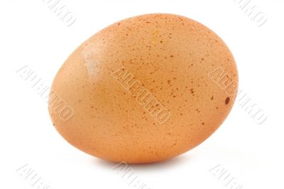 free-range egg