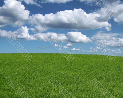 gorgeous landscape