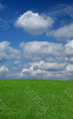 idyllic summer scenery