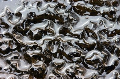 Reflections are in spring ice