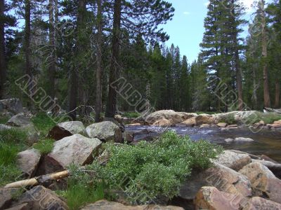 Torrent flow in Yosemite Park