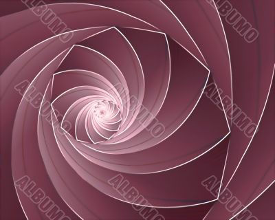 Royal cornucopia swirl shell Royal cornucopia swirl shell