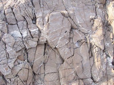 background from a grey rock