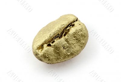 macro of golden coffe bean