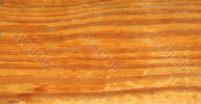 old real wood texture