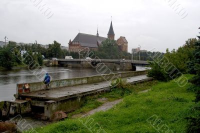 Rain. Embankment of Pregolya river 4
