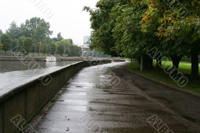 Rain. Embankment of Pregolya river