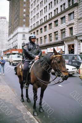 Police on Horse