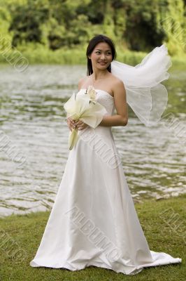 Asian Bride 17