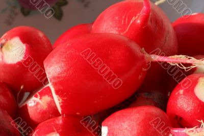 macro of peeled moist radishes