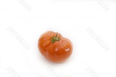 Red tomato Red tomato
