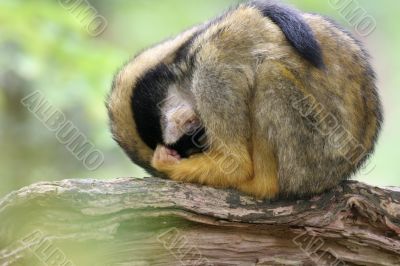 Hiding from the truth