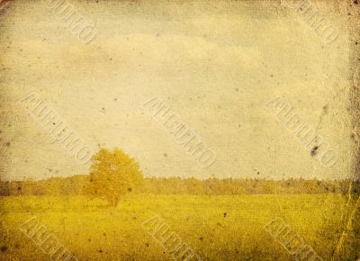 bleached image of a tree on a vintage paper