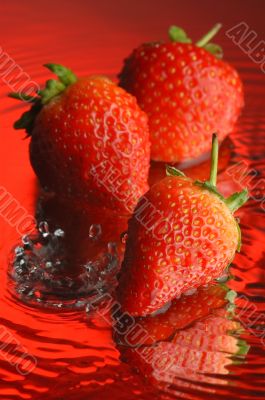 Strawberry 3 Strawberry 3