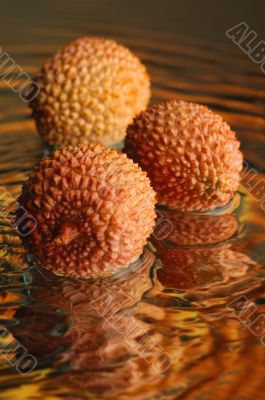 Litchi 2 Litchi 2
