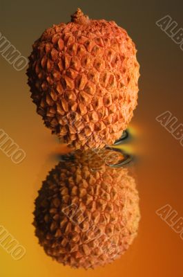 Litchi 3 Litchi 3