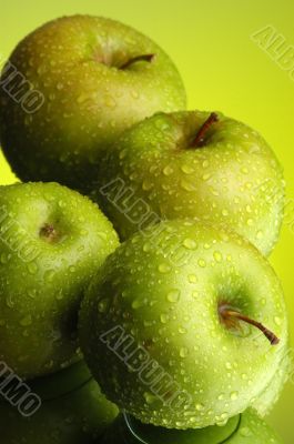 Apple 2 Apple 2