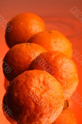 Wet orange 2 Wet orange 2